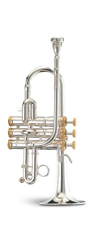F G elite trumpet stomvi