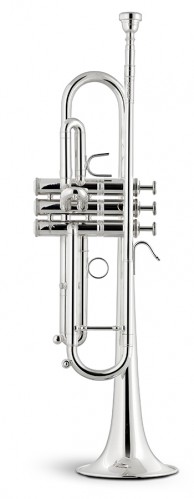 Bb mambo5 trumpet stomvi